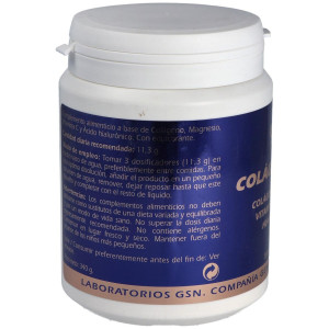 Colageno Gsn Con Acido Hialuronico Limon 340Gr.
