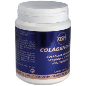 Colageno Gsn Con Acido Hialuronico Limon 340Gr.