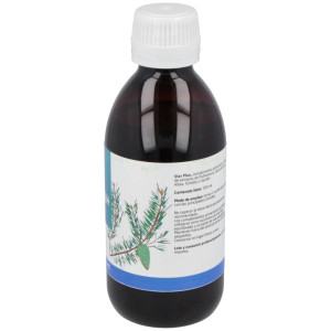 Star Plus Bronquios Jarabe 250Ml.