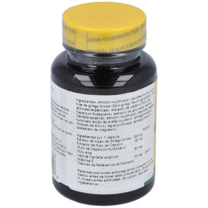 Nature'S Plus Ginkgo Combo 60 Caps