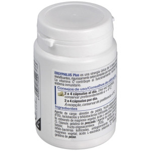 Ergyphilus Plus 60Cap. (Refrigeracion)