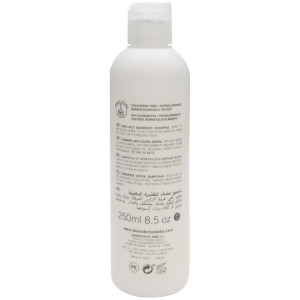 Babé Champú Anticaspa Grasa, 250 Ml