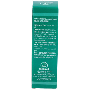 Pai-11 Holopai (Circulacion Cerebral)