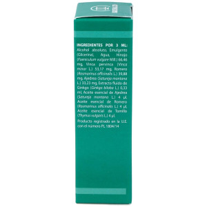 Pai-11 Holopai (Circulacion Cerebral)