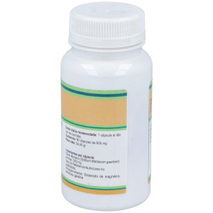 Cardo Mariano Milk Thistle 500Mg. 90Cap.