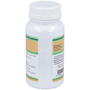 Cardo Mariano Milk Thistle 500Mg. 90Cap.