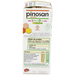 Pinisan Pinosan Jarabe 250Ml