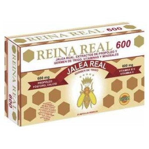 Robis Reina Real 600 20...