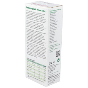 Jugo De Llanten 200Ml. Schoenenberger