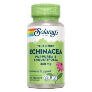 Echinacea...