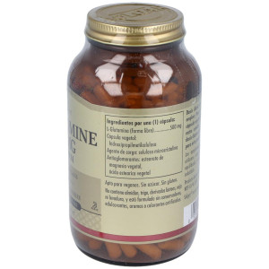 Solgar L-Glutamina 500Mg 250Vcaps