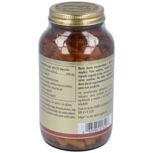 Solgar L-Glutamina 500Mg 250Vcaps