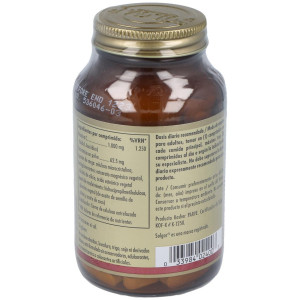 Vitamina C 1000Mg Rose Hips 100Comp.
