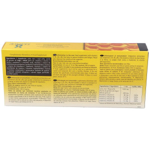 Tegor Energy 2000 Jalea Real 20Amp