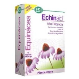 Echinaid Alta Potencia 60Cps