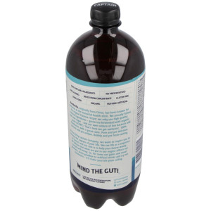 Kombucha Original 1Lt Bio