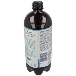 Kombucha Original 1Lt Bio