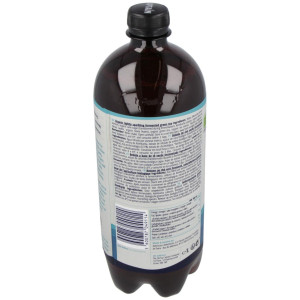 Kombucha Original 1Lt Bio