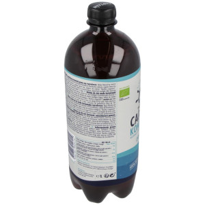 Kombucha Original 1Lt Bio