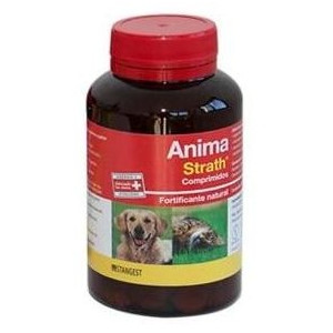 Anima Strath Perros Y Gatos...