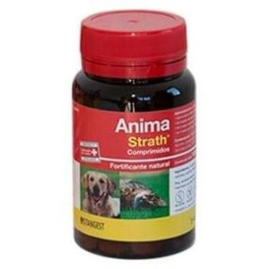 Anima Strath Perros Y Gatos...