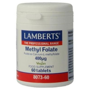 Lamberts Methyl Folate...
