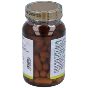 Rhodiola Rosea 60Cap.