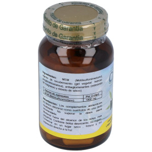 Msm 1000 Metilsulfonilmetano 60Cap. 2