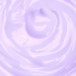 Anian Cebolla Y Biotina Acondicionador 250Ml