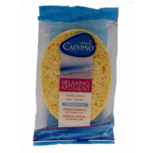 Farvisan Esponja Vegetal...