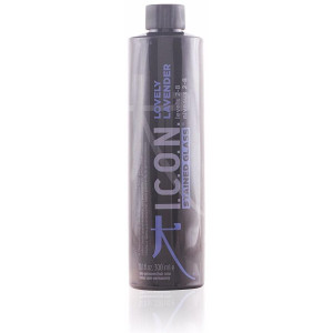 I.C.O.N. Stained Glass Semi...