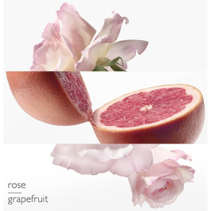 Hermes Paris Pamplemousse...