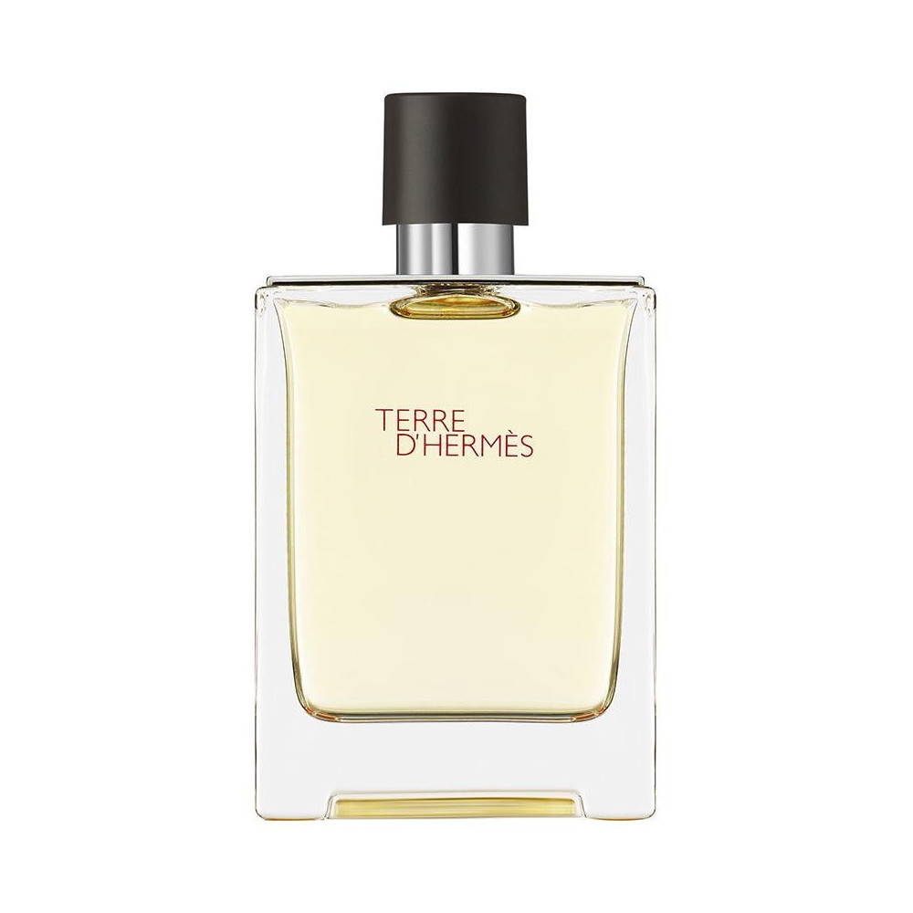 Hermes Paris Terre D'Hermes Eau De Toilette 100Ml