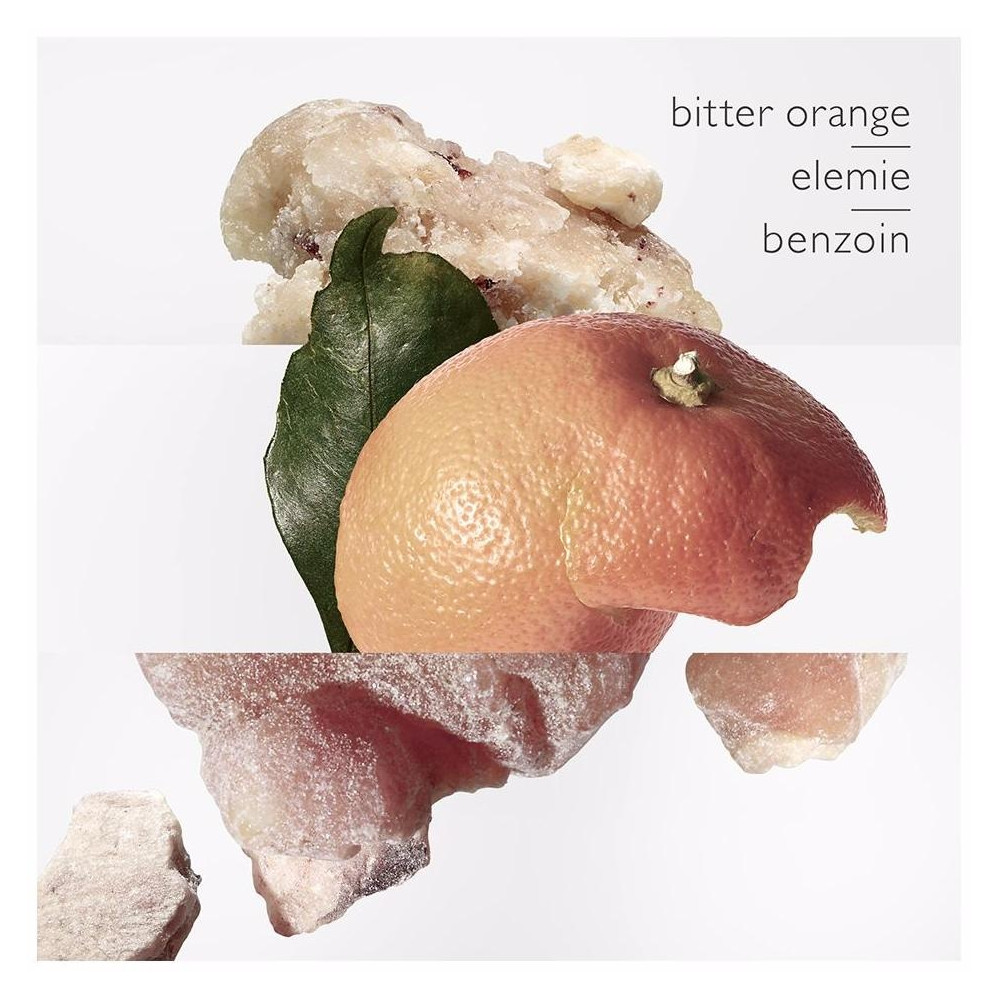 Eau Des Merveilles Eau De Toilette Vaporizador 100 Ml