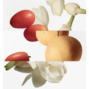 Hermes Paris Le Jardin De...