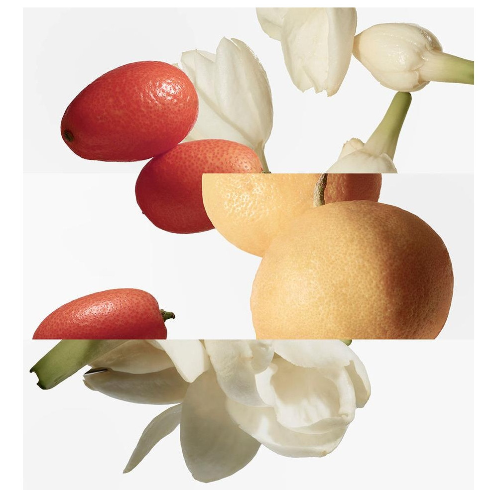 Hermes Paris Le Jardin De Monsieur Li Eau De Toilette 100Ml Vapo